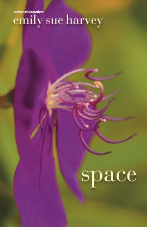 Cover of the book Space by Lynn Voedisch