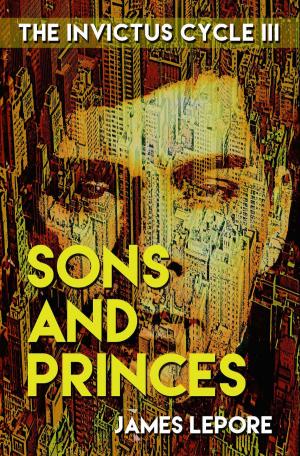 Cover of the book Sons and Princes by Earl Javorsky