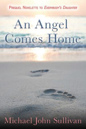 bigCover of the book An Angel Comes Home by 