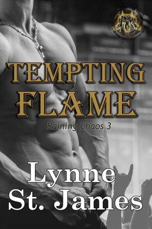 Cover of the book Tempting Flame by nikki broadwell