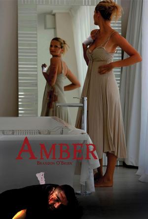 Cover of the book Amber by PhD Tang Hu, PhD Laura Mudd