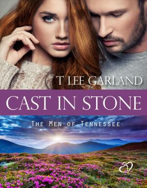 Cover of the book Cast In Stone by Shannon West