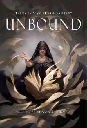 Cover of the book Unbound by J. Dawn Light