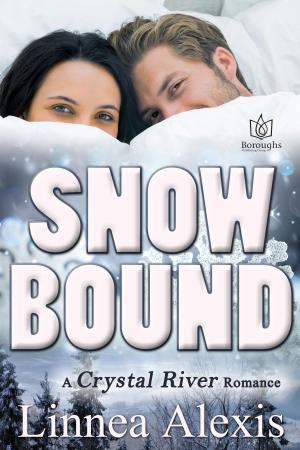 Cover of the book Snowbound by Jenna Lincoln