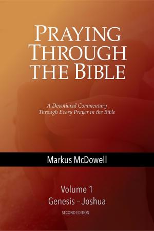 Cover of the book Praying Through the Bible, Vol 1 (Genesis-Joshua) by Angel Gabriel