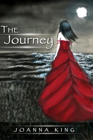 Cover of the book The Journey by Phillip Overton