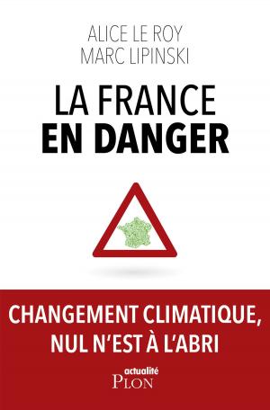 Cover of the book La France en danger by Sophie KINSELLA, Madeleine WICKHAM