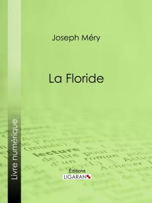 Cover of the book La Floride by Madame de Stolz, Ligaran