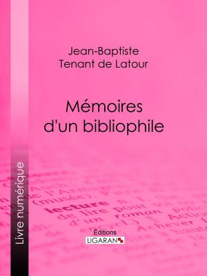Cover of the book Mémoires d'un bibliophile by Guy de Maupassant, Ligaran