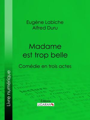 Cover of the book Madame est trop belle by Juliette Adam, Ligaran