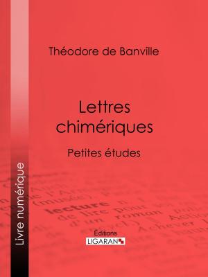 Cover of the book Lettres chimériques by Barthélemy Edmond Palat, Ligaran