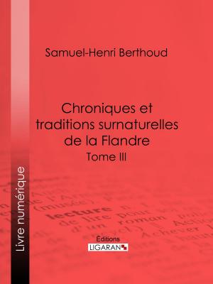 Cover of the book Chroniques et traditions surnaturelles de la Flandre by Frédéric Soulié, Ligaran