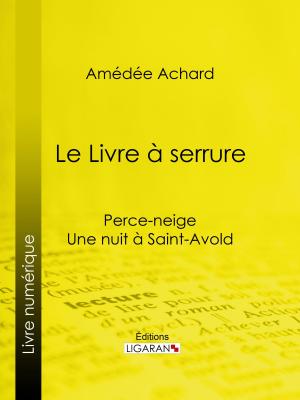 Cover of the book Le Livre à serrure by Louis Lurine, Ligaran