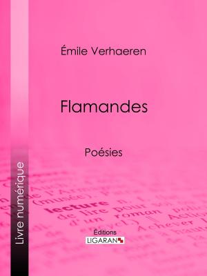 Cover of the book Flamandes by Camille Selden, Ligaran
