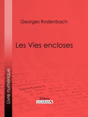Cover of the book Les Vies encloses by José-Maria de Heredia, Ligaran