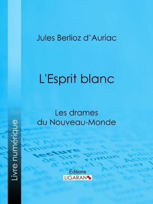 Cover of the book L'Esprit blanc by Linda Lee Graham