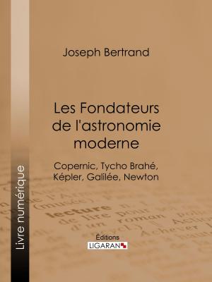 Book cover of Les Fondateurs de l'astronomie moderne