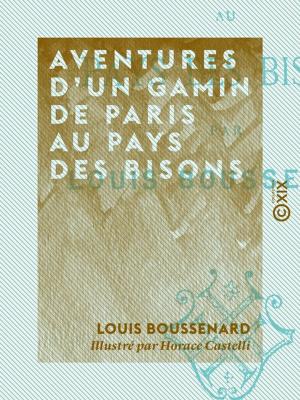 Cover of the book Aventures d'un gamin de Paris au pays des bisons by Jules Barthélemy-Saint-Hilaire