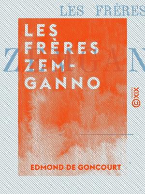 Cover of the book Les Frères Zemganno by Champfleury
