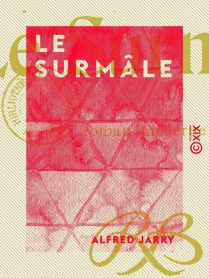 Cover of the book Le Surmâle by Édouard Cavailhon