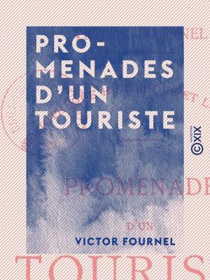 Cover of the book Promenades d'un touriste by Louis Ménard