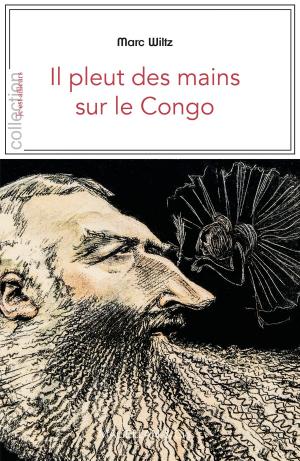 Cover of the book Il pleut des mains sur le Congo by Juliette Adam
