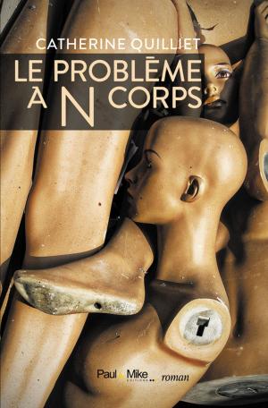 Cover of the book Le problème à N corps by Fabien Pesty