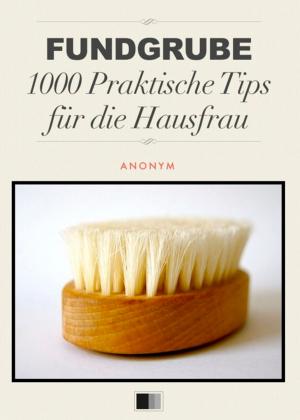 Cover of the book Fundgrube 1000 Praktische Tips für die Hausfrau by Georges Dottin