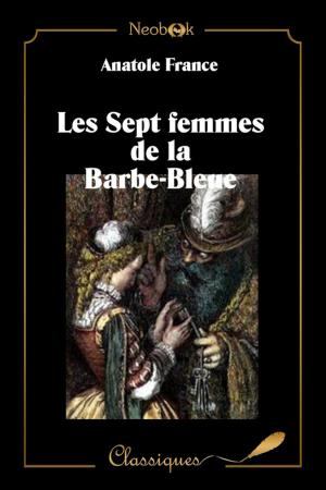 Book cover of Les Sept femmes de la Barbe-bleue