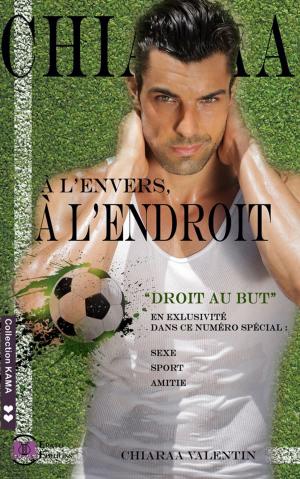 Cover of the book A l'envers, à l'endroit by Chiaraa Valentin