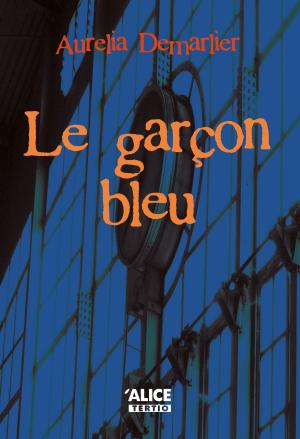 Cover of the book Le garçon bleu by Christophe Léon