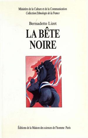 Cover of the book La bête noire by Sandrine Revet