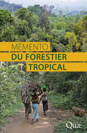 Book cover of Mémento du forestier tropical