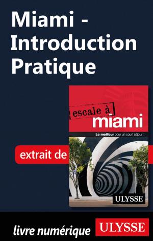 Cover of the book Miami - Introduction Pratique by Yves Séguin
