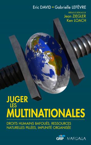 Cover of the book Juger les multinationales by Nicolas Favez