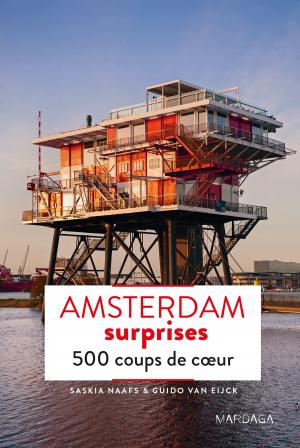 Cover of the book Amsterdam surprises by Céline Bousquet