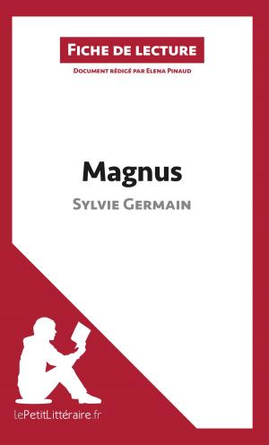 Cover of the book Magnus de Sylvie Germain (Fiche de lecture) by Elena Pinaud, Tina Van Roeyen, lePetitLittéraire.fr