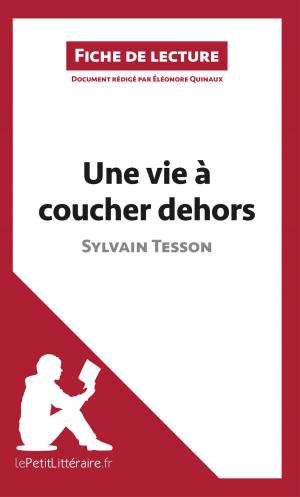 Cover of the book Une vie à coucher dehors de Sylvain Tesson (Fiche de lecture) by Audrey Cuzon, lePetitLittéraire.fr