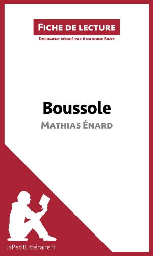Cover of the book Boussole de Mathias Énard (Fiche de lecture) by Elena Pinaud, lePetitLittéraire.fr