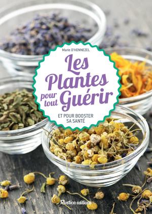 Cover of the book Les plantes pour tout guérir by Annie Lagueyrie