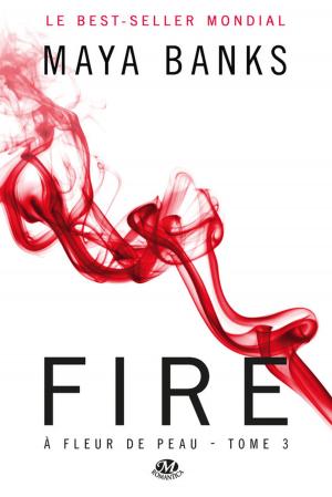 Cover of the book Fire by Winter Morgan