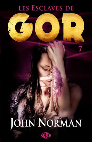 Cover of the book Les Esclaves de Gor by Louise Cooper