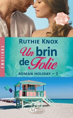 Cover of the book Un brin de folie by Larissa Ione
