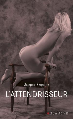 Cover of the book L'attendrisseur by Capucine Anav, Carole Delettres