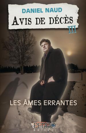 Cover of the book Avis de décès (3) by Daniel Naud