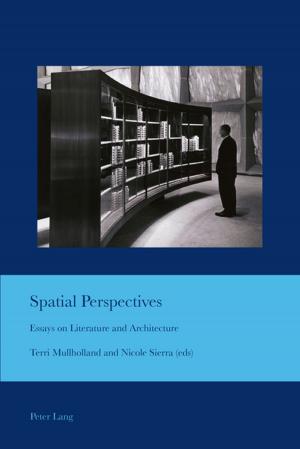 Cover of the book Spatial Perspectives by María Egido Vicente