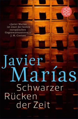 Cover of the book Schwarzer Rücken der Zeit by Reiner Stach