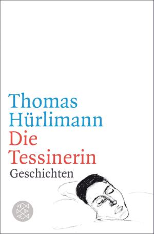 Cover of the book Die Tessinerin by Kerstin Höckel