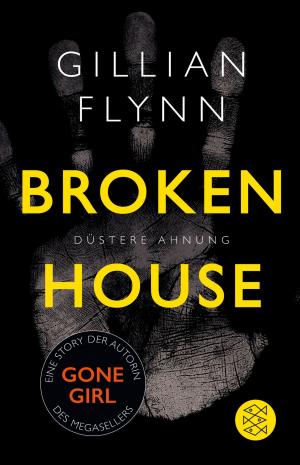 bigCover of the book Broken House - Düstere Ahnung by 