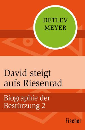 Book cover of David steigt aufs Riesenrad